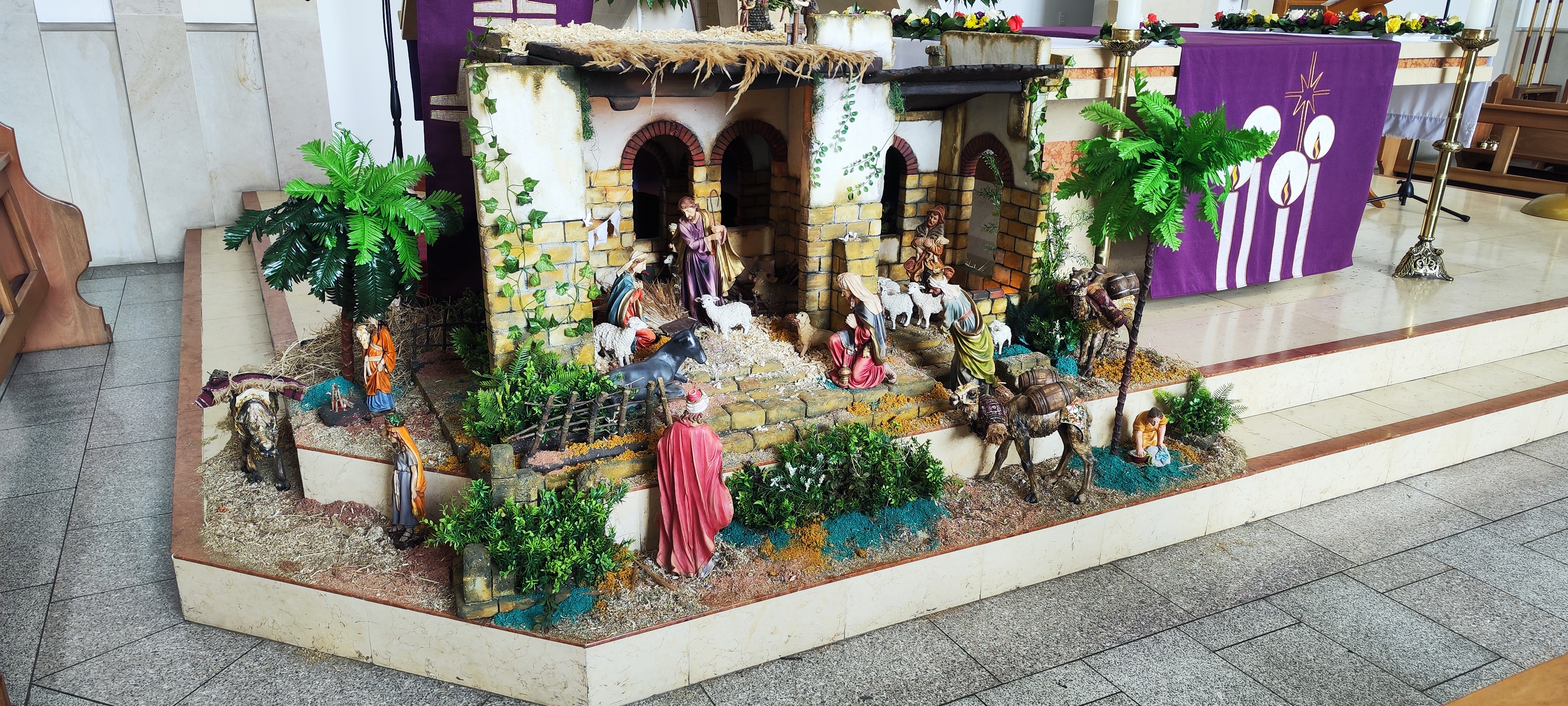 Imagen 79