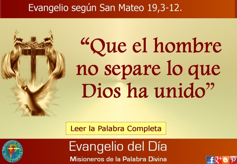 evangelio del dia