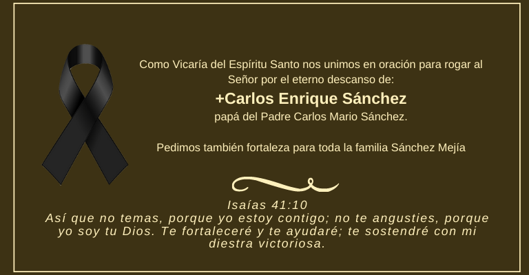 Vicaria del Espiritu Santo