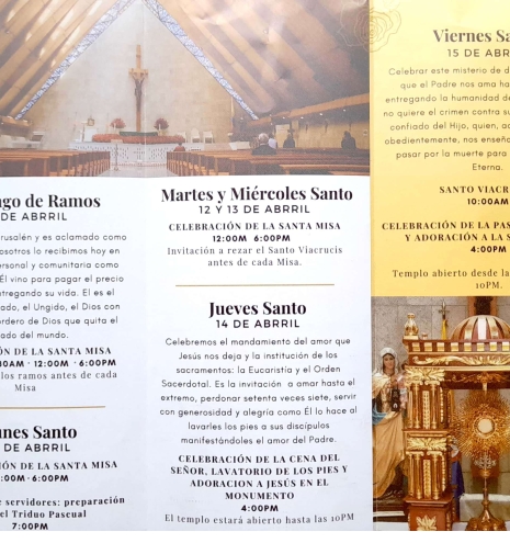 programacion