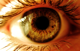 ojo