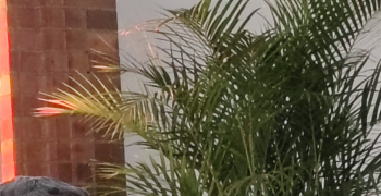 San Pascual 